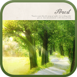 Forest go launcher theme