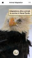 NPS Kenai Fjords Journal اسکرین شاٹ 1