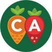 CA Meals for Kids icon