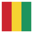 CNIE Guinée ikon