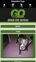 Long Beach Animal Care screenshot 2