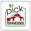 Pick Tennessee