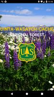 Uinta-Wasatch-Cache National F Affiche