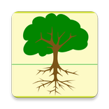 Research Data Archive (USFS)