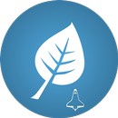 APK MC Explorer