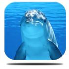 Marine Dolphin Live Wallpaper icône
