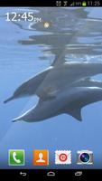 Marine Dolphin Live Wallpaper capture d'écran 2