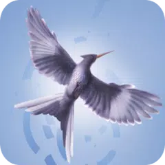 download Mockingjay Part 2 Countdown APK