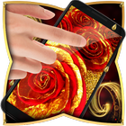 Gold rose live wallpaper hd icône