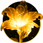 Golden Flower Bowknot Theme 아이콘