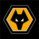 Wolves Matchday Programme APK