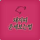 돼지띠성격 (47년돼지띠 59년돼지띠 71년돼지띠 83년돼지띠 95년돼지띠) APK