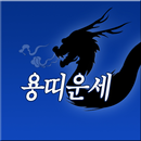 APK 용띠남자여자 1940년생 1952년생 1964년생 1976년생 1988년생 용띠운세