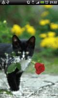 Cat With Rose Live Wallpaper imagem de tela 1