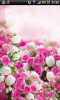 Beautiful Spring Flowers LWP penulis hantaran