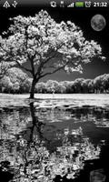 Reflective Black And White LWP تصوير الشاشة 3