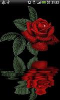 Reflective Red Rose Live Wallpaper الملصق