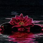 Neon Flower Live Wallpaper आइकन