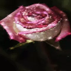 Pink Sparkle Rose LWP