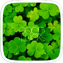 Good Luck Theme APK