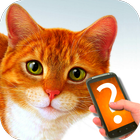 Ask cat helper simulator biểu tượng