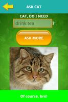 Ask cat helper simulator Affiche