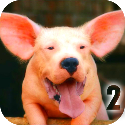 Morph animals Hybrids Face