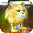 Animal face morphing photo APK