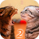Demandez Cat 2 Translator APK