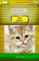 Demandez Cat 2 Translator Affiche
