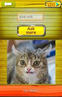 Ask Cat 2 Translator syot layar 1