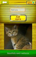 Ask Cat 2 Translator syot layar 2