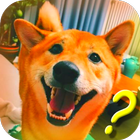 Talking with Dog Phrasebook আইকন