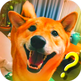 Talking with Dog Phrasebook icon