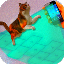 Hopscotch hologram Simulator APK
