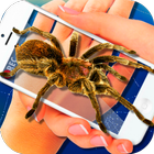 Spider Camera Scary Prank icon