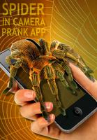 Spider Kamera Menakutkan Prank screenshot 2