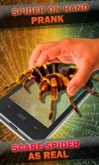 Spider on Hand. Camera Prank APK download