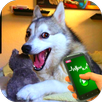 Tease Dogs Sounds Simulator APK