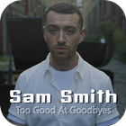 Too Good At Goodbyes - Sam Smith Songs & Lyrics icône