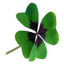 Good Luck Wishes APK