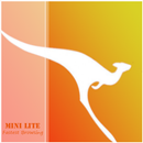 Mini CC Browser - Lite Browser APK