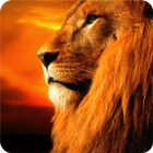 Lion In Sunset Magic FX icône