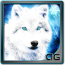 Loup blanc sous la neige LWP APK