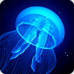 Night Light Jelly Fish LWP