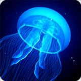Night Light Jelly Fish icône