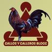 ”Gallos Y Galleros Blogg