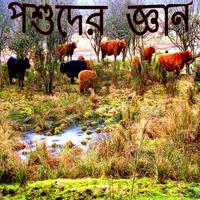 Galpo Guccho - Lovely Stories পোস্টার