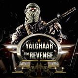 Yalghar The Revenge of SSG Commando shooter icône