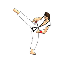 Final Karate (free) APK